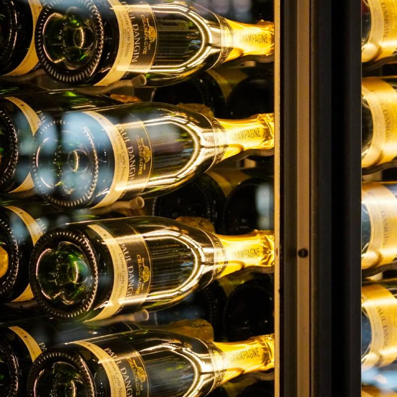 Möchten Sie einen Champagnerkühlschrank kaufen?